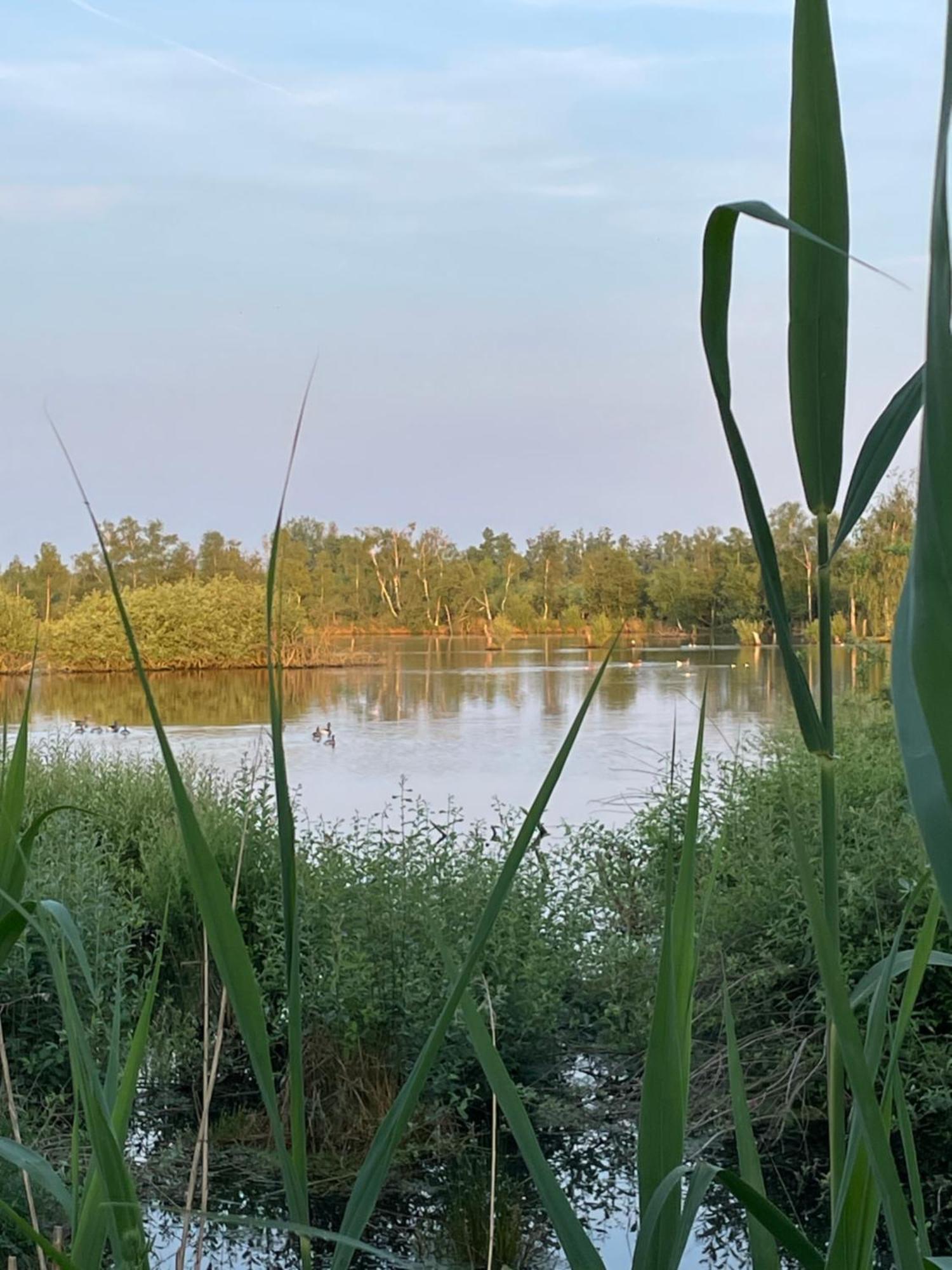 Vakantiewoning Hegga Hegelsom المظهر الخارجي الصورة